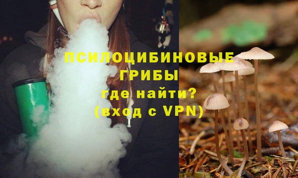 MESCALINE Баксан