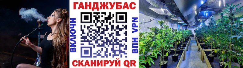 Канабис сатива  hydra зеркало  Зима 